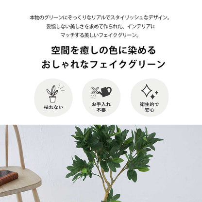 フェイクグリーン オリーブツリー 約88cm 抗菌 消臭 観葉植物 フェイク 光触媒 人工観葉植物 インテリア おしゃれ 鉢 植木 葉 枝 木 室内 玄関 リビング オフィス 爽やか(代引不可)