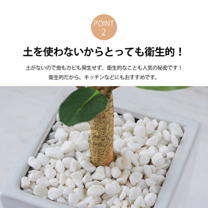 フェイクグリーン オリーブツリー 約88cm 抗菌 消臭 観葉植物 フェイク 光触媒 人工観葉植物 インテリア おしゃれ 鉢 植木 葉 枝 木 室内 玄関 リビング オフィス 爽やか(代引不可)