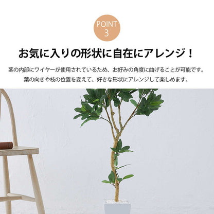 フェイクグリーン オリーブツリー 約88cm 抗菌 消臭 観葉植物 フェイク 光触媒 人工観葉植物 インテリア おしゃれ 鉢 植木 葉 枝 木 室内 玄関 リビング オフィス 爽やか(代引不可)