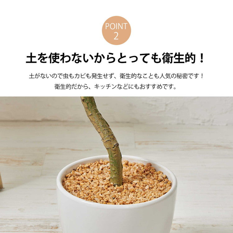 フェイクグリーン ウンベラータツリー 約100cm 抗菌 消臭 観葉植物 フェイク 光触媒 人工観葉植物 インテリア おしゃれ 鉢 植木 葉 枝 木 室内 玄関 リビング オフィス(代引不可)