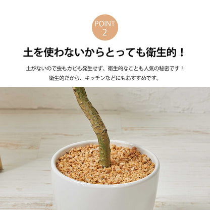 フェイクグリーン ウンベラータツリー 約100cm 抗菌 消臭 観葉植物 フェイク 光触媒 人工観葉植物 インテリア おしゃれ 鉢 植木 葉 枝 木 室内 玄関 リビング オフィス(代引不可)