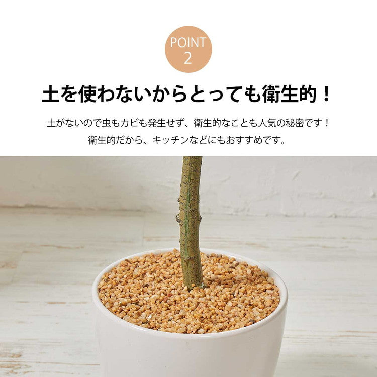 フェイクグリーン ウンベラータツリー 約150cm 抗菌 消臭 観葉植物 フェイク 光触媒 人工観葉植物 インテリア おしゃれ 鉢 植木 葉 枝 木 室内 玄関 リビング オフィス(代引不可)