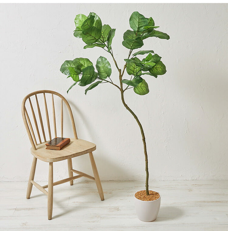 フェイクグリーン ウンベラータツリー 約150cm 抗菌 消臭 観葉植物 フェイク 光触媒 人工観葉植物 インテリア おしゃれ 鉢 植木 葉 枝 木 室内 玄関 リビング オフィス(代引不可)