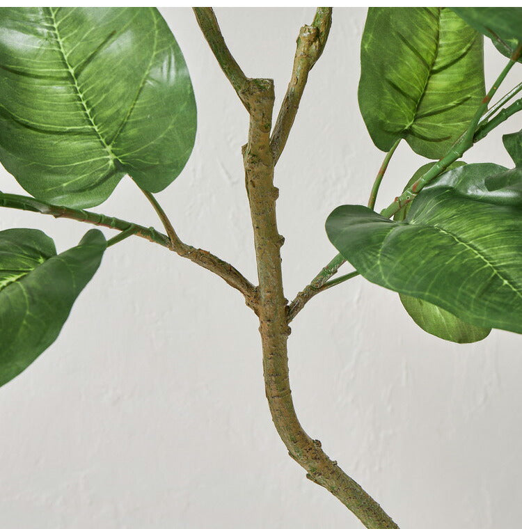 フェイクグリーン ウンベラータツリー 約150cm 抗菌 消臭 観葉植物 フェイク 光触媒 人工観葉植物 インテリア おしゃれ 鉢 植木 葉 枝 木 室内 玄関 リビング オフィス(代引不可)