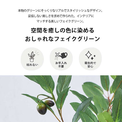 フェイクグリーン オリーブツリー 約120cm 抗菌 消臭 観葉植物 フェイク 光触媒 人工観葉植物 インテリア おしゃれ 鉢 植木 葉 枝 木 室内 玄関 リビング オフィス 爽やか(代引不可)