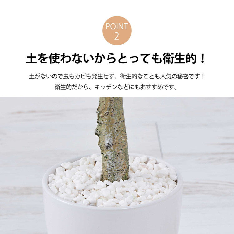 フェイクグリーン オリーブツリー 約120cm 抗菌 消臭 観葉植物 フェイク 光触媒 人工観葉植物 インテリア おしゃれ 鉢 植木 葉 枝 木 室内 玄関 リビング オフィス 爽やか(代引不可)