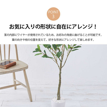 フェイクグリーン オリーブツリー 約120cm 抗菌 消臭 観葉植物 フェイク 光触媒 人工観葉植物 インテリア おしゃれ 鉢 植木 葉 枝 木 室内 玄関 リビング オフィス 爽やか(代引不可)