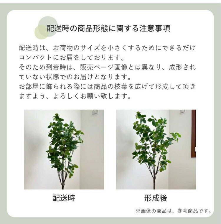 フェイクグリーン カボックツリー 約90cm 抗菌 消臭 観葉植物 フェイク 光触媒 人工観葉植物 インテリア おしゃれ 鉢 植木 葉 枝 木 室内 玄関 リビング オフィス 爽やか(代引不可)