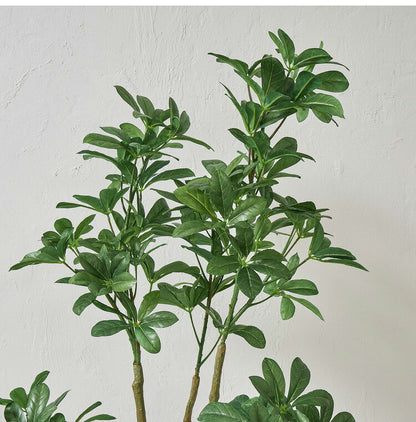 フェイクグリーン カボックツリー 約90cm 抗菌 消臭 観葉植物 フェイク 光触媒 人工観葉植物 インテリア おしゃれ 鉢 植木 葉 枝 木 室内 玄関 リビング オフィス 爽やか(代引不可)