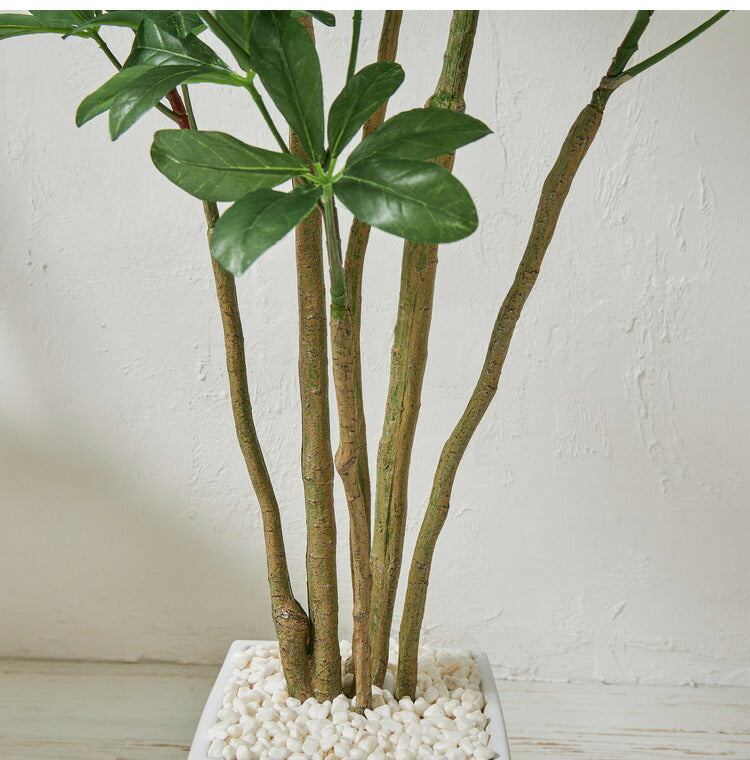 フェイクグリーン カボックツリー 約90cm 抗菌 消臭 観葉植物 フェイク 光触媒 人工観葉植物 インテリア おしゃれ 鉢 植木 葉 枝 木 室内 玄関 リビング オフィス 爽やか(代引不可)