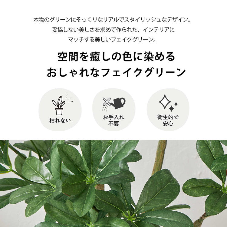 フェイクグリーン カボックツリー 約90cm 抗菌 消臭 観葉植物 フェイク 光触媒 人工観葉植物 インテリア おしゃれ 鉢 植木 葉 枝 木 室内 玄関 リビング オフィス 爽やか(代引不可)