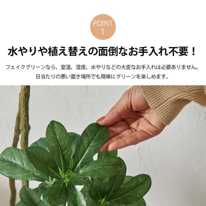 フェイクグリーン カボックツリー 約90cm 抗菌 消臭 観葉植物 フェイク 光触媒 人工観葉植物 インテリア おしゃれ 鉢 植木 葉 枝 木 室内 玄関 リビング オフィス 爽やか(代引不可)