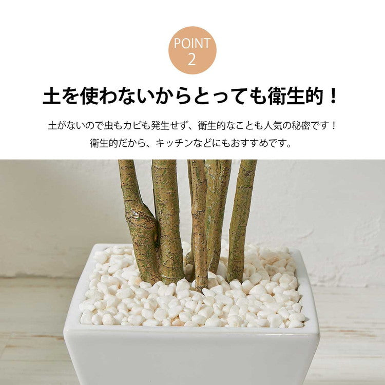 フェイクグリーン カボックツリー 約90cm 抗菌 消臭 観葉植物 フェイク 光触媒 人工観葉植物 インテリア おしゃれ 鉢 植木 葉 枝 木 室内 玄関 リビング オフィス 爽やか(代引不可)