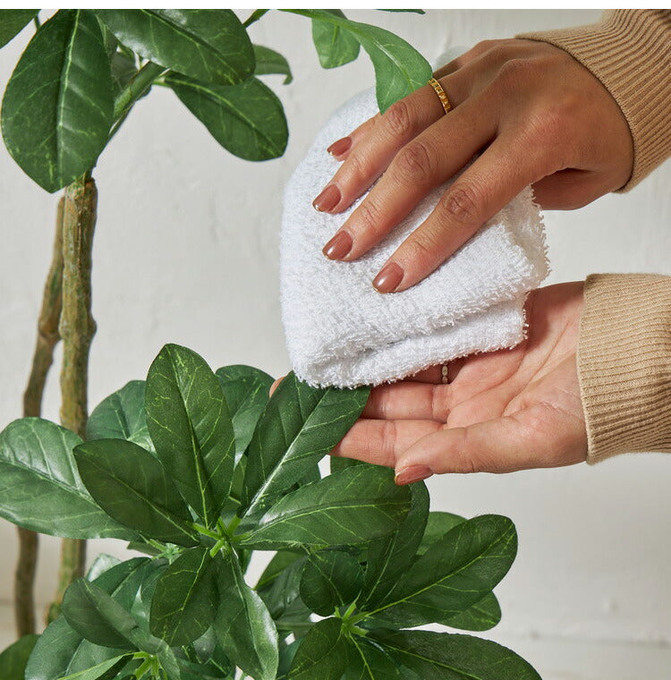 フェイクグリーン カボックツリー 約90cm 抗菌 消臭 観葉植物 フェイク 光触媒 人工観葉植物 インテリア おしゃれ 鉢 植木 葉 枝 木 室内 玄関 リビング オフィス 爽やか(代引不可)