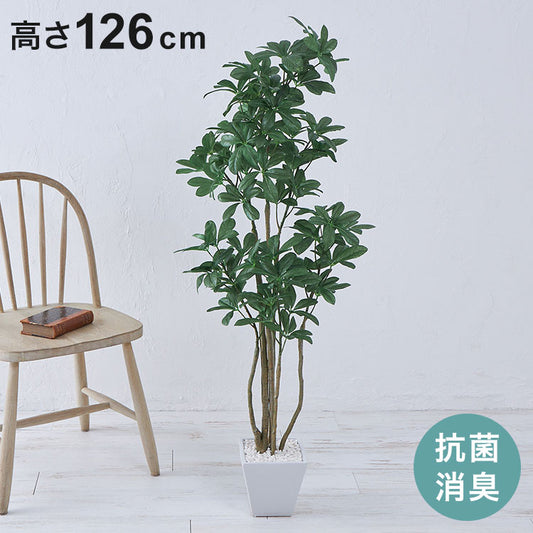 フェイクグリーン カボックツリー 約126cm 抗菌 消臭 観葉植物 フェイク 光触媒 人工観葉植物 インテリア おしゃれ 鉢 植木 葉 枝 木 室内 玄関 リビング オフィス 爽やか(代引不可)
