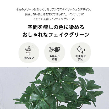 フェイクグリーン カボックツリー 約126cm 抗菌 消臭 観葉植物 フェイク 光触媒 人工観葉植物 インテリア おしゃれ 鉢 植木 葉 枝 木 室内 玄関 リビング オフィス 爽やか(代引不可)