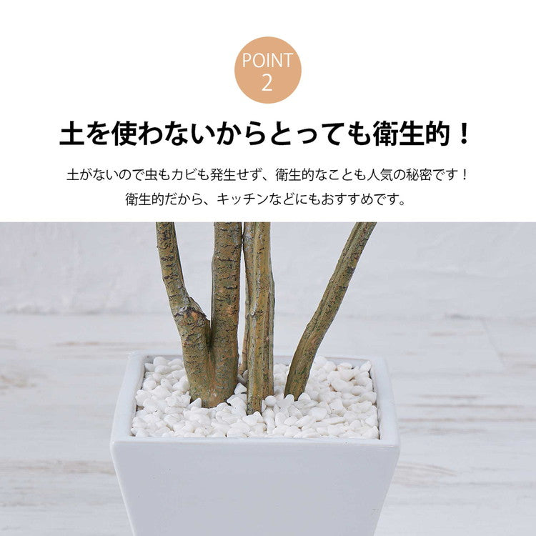 フェイクグリーン カボックツリー 約126cm 抗菌 消臭 観葉植物 フェイク 光触媒 人工観葉植物 インテリア おしゃれ 鉢 植木 葉 枝 木 室内 玄関 リビング オフィス 爽やか(代引不可)