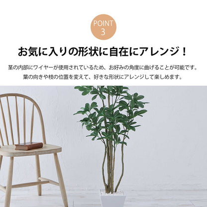 フェイクグリーン カボックツリー 約126cm 抗菌 消臭 観葉植物 フェイク 光触媒 人工観葉植物 インテリア おしゃれ 鉢 植木 葉 枝 木 室内 玄関 リビング オフィス 爽やか(代引不可)