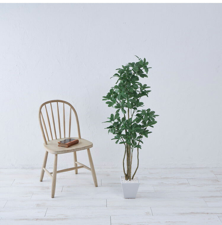 フェイクグリーン カボックツリー 約126cm 抗菌 消臭 観葉植物 フェイク 光触媒 人工観葉植物 インテリア おしゃれ 鉢 植木 葉 枝 木 室内 玄関 リビング オフィス 爽やか(代引不可)