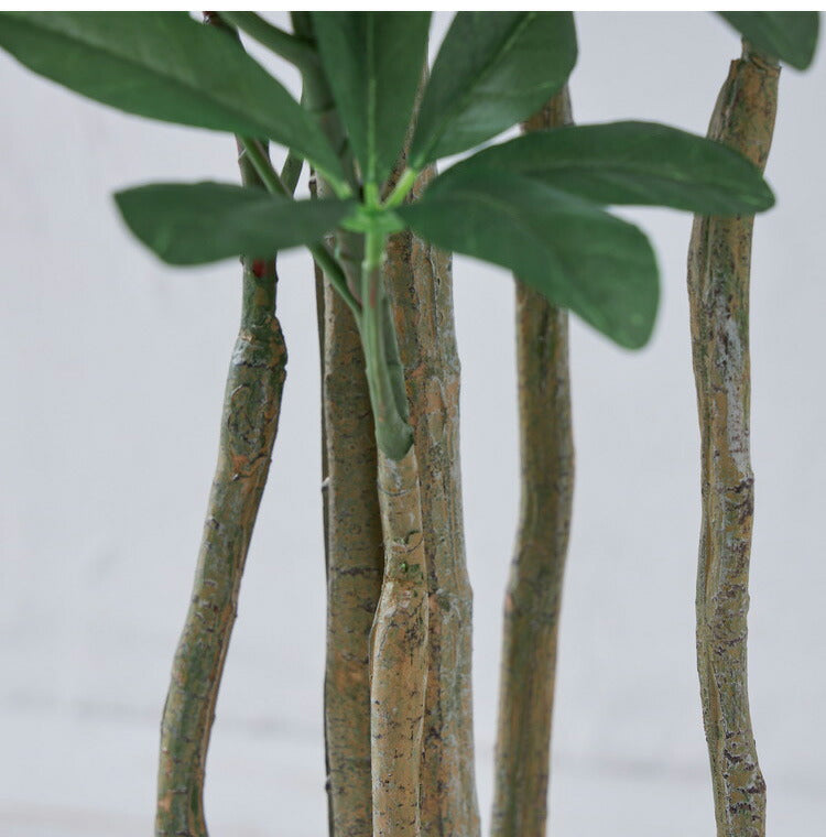 フェイクグリーン カボックツリー 約126cm 抗菌 消臭 観葉植物 フェイク 光触媒 人工観葉植物 インテリア おしゃれ 鉢 植木 葉 枝 木 室内 玄関 リビング オフィス 爽やか(代引不可)