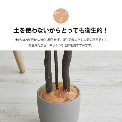 フェイクグリーン モンステラ 約140cm 抗菌 消臭 観葉植物 フェイク 光触媒 人工観葉植物 インテリア おしゃれ 鉢 植木 葉 枝 木 室内 玄関 リビング オフィス 爽やか(代引不可)