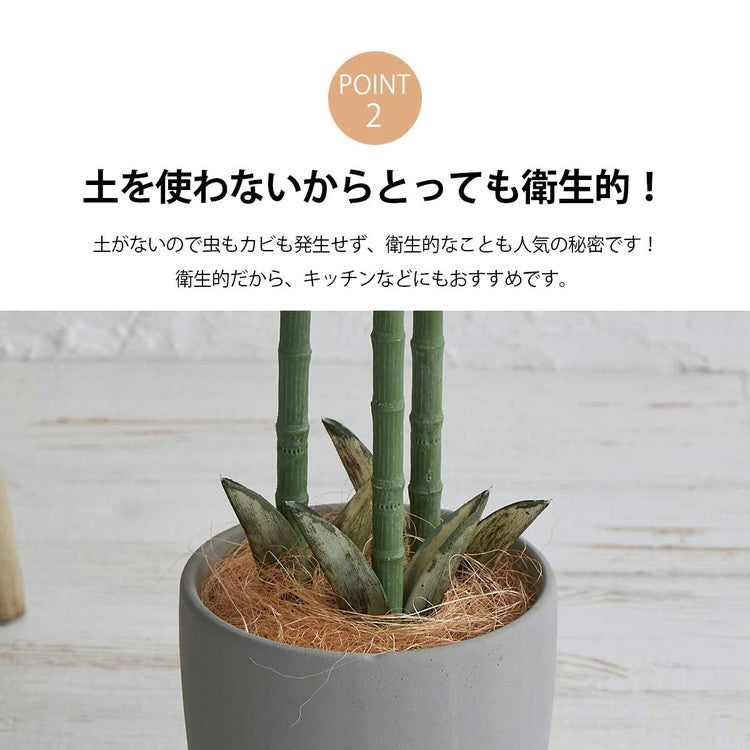 フェイクグリーン アレカヤシ 約110cm 抗菌 消臭 観葉植物 フェイク 光触媒 人工観葉植物 インテリア おしゃれ 鉢 植木 葉 枝 木 室内 玄関 リビング オフィス 爽やか(代引不可)