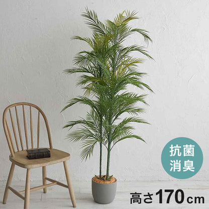 フェイクグリーン アレカヤシ 約170cm 抗菌 消臭 観葉植物 フェイク 光触媒 人工観葉植物 インテリア おしゃれ 鉢 植木 葉 枝 木 室内 玄関 リビング オフィス 爽やか(代引不可)