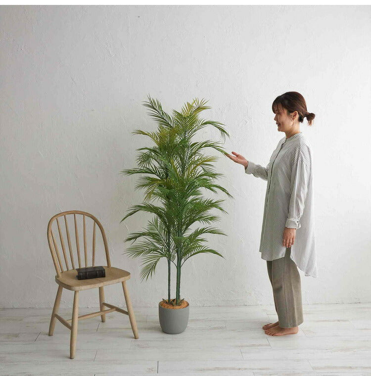 フェイクグリーン アレカヤシ 約170cm 抗菌 消臭 観葉植物 フェイク 光触媒 人工観葉植物 インテリア おしゃれ 鉢 植木 葉 枝 木 室内 玄関 リビング オフィス 爽やか(代引不可)