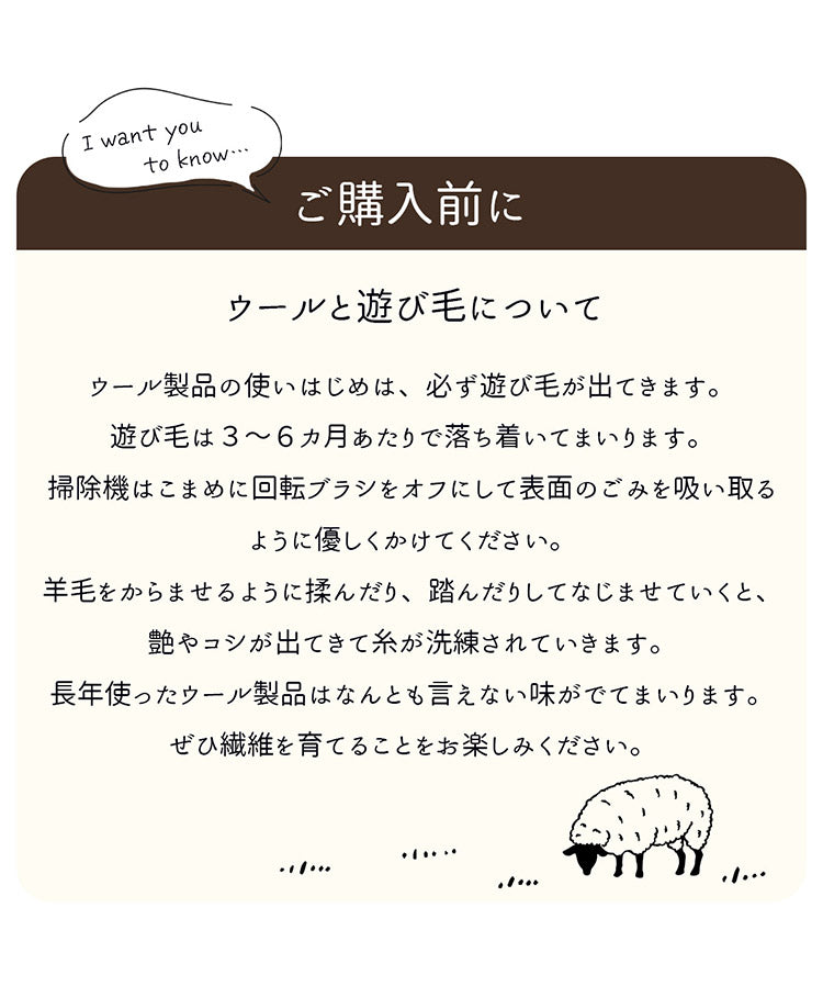 ギャベ ギャッベ 玄関マット 40×60cm インド製 手織りギャッベ ウール100% 防炎ラベル付き おしゃれ ラグ ラグマット カーペット(代引不可)
