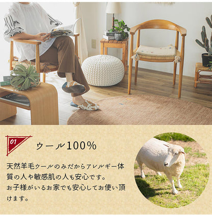 ギャベ ギャッベ 玄関マット 40×60cm インド製 手織りギャッベ ウール100% 防炎ラベル付き おしゃれ ラグ ラグマット カーペット(代引不可)