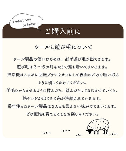 ギャベ ギャッベ 玄関マット 60×90cm インド製 手織りギャッベ ウール100% 防炎ラベル付き おしゃれ ラグ ラグマット カーペット(代引不可)