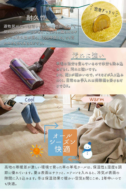 ギャベ ギャッベ 玄関マット パステルカラー 50×80cm インド製 手織りギャッベ ウール100% 防炎ラベル付き 可愛い かわいい おしゃれ ラグ ラグマット カーペット(代引不可)