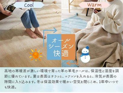 ギャベ ギャッベ ラグマット パステルカラー 80×140cm インド製 手織りギャッベ ウール100% 防炎ラベル付き 可愛い かわいい おしゃれ ラグ ラグマット カーペット(代引不可)