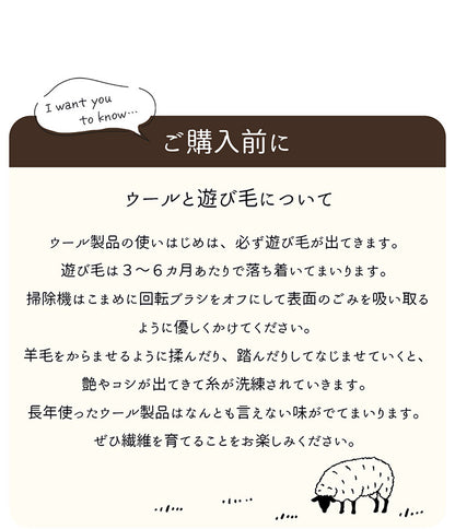 ギャベ ギャッベ チェアマット 40×40cm インド製 手織りギャッベ ウール100% 防炎ラベル付き おしゃれ チェアマット チェアパッド(代引不可)