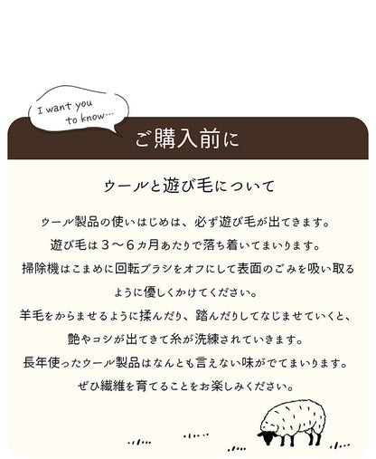 ギャベ ギャッベ 玄関マット 40×60cm インド製 手織りギャッベ ウール100% 防炎ラベル付き おしゃれ ラグ ラグマット カーペット(代引不可)