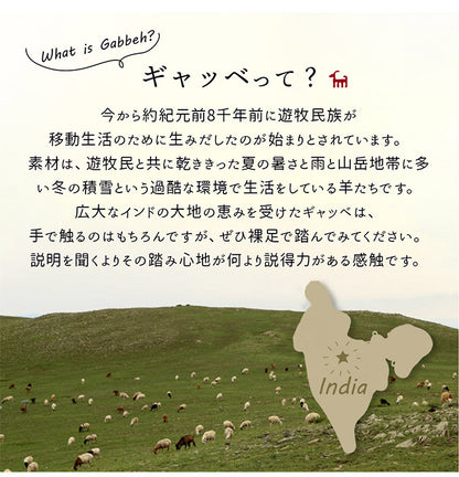 ギャベ ギャッベ 玄関マット 40×60cm インド製 手織りギャッベ ウール100% 防炎ラベル付き おしゃれ ラグ ラグマット カーペット(代引不可)