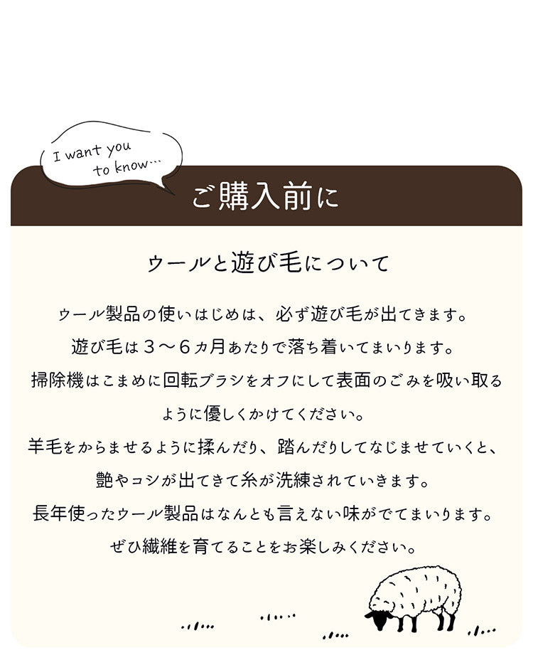 ギャベ ギャッベ 玄関マット 60×90cm インド製 手織りギャッベ ウール100% 防炎ラベル付き おしゃれ ラグ ラグマット カーペット(代引不可)