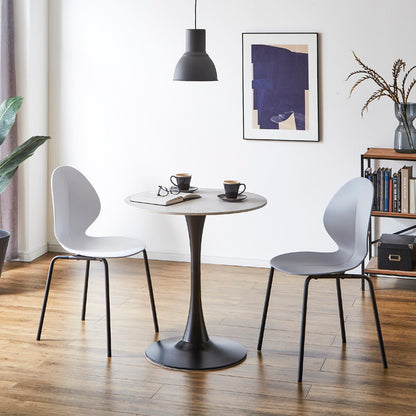 ダイニングチェア 2脚セット モノトーン スチール脚 アントチェア風 積み重ね スタッキングチェア おしゃれ 椅子 チェアー イス シンプル モダン 北欧(代引不可)