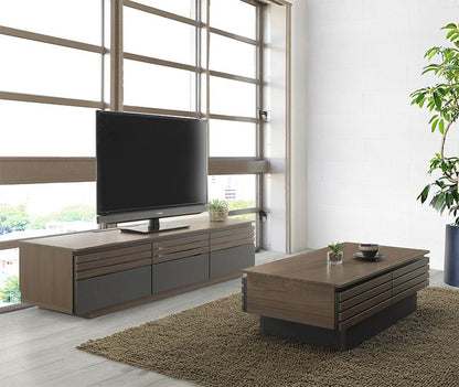 センターテーブル ローテーブル 完成品 幅100 奥行45 高さ30 リビングテーブル 一人暮らし おしゃれ リビング 収納 引き出し ウォールナット(代引不可)