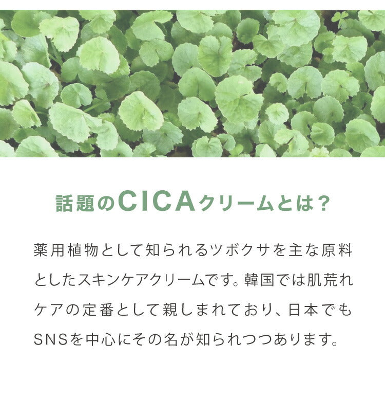 数量限定価格 日本製 CICA ヒトハリ スペシャルクリーム 50g ヒト幹細胞 CICAクリーム シカ cicaクリーム シカクリーム パック 高保湿 フェイスクリーム ツボクサエキス 針クリーム スピキュール