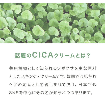 数量限定価格 日本製 CICA ヒトハリ スペシャルクリーム 50g ヒト幹細胞 CICAクリーム シカ cicaクリーム シカクリーム パック 高保湿 フェイスクリーム ツボクサエキス 針クリーム スピキュール