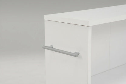 萩原 RCC-1021WH-S マガジンラック(代引不可)