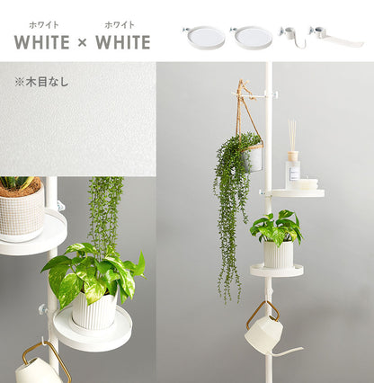 突っ張り棚 縦型 5点セット 円形トレイ2個&フック 突っ張り棒 おしゃれ ポール つっぱり 壁面収納 天井 突っ張りラック つっぱり棚 リビング 玄関 デスク横(代引不可)