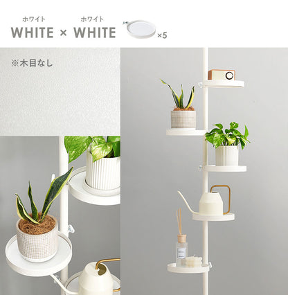 突っ張り棚 縦型 6点セット 円形トレイ5個 突っ張り棒 おしゃれ ポール つっぱり 壁面収納 天井 突っ張りラック つっぱり棚 リビング 玄関 デスク横(代引不可)