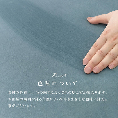 ソファ 2人掛け プリンセスソファ 貝殻モチーフ 2P 姫 エレガント 大人可愛い かわいい 肘付き 脚付き 完成品 姫系 ガーリー おしゃれ ソファー(代引不可)