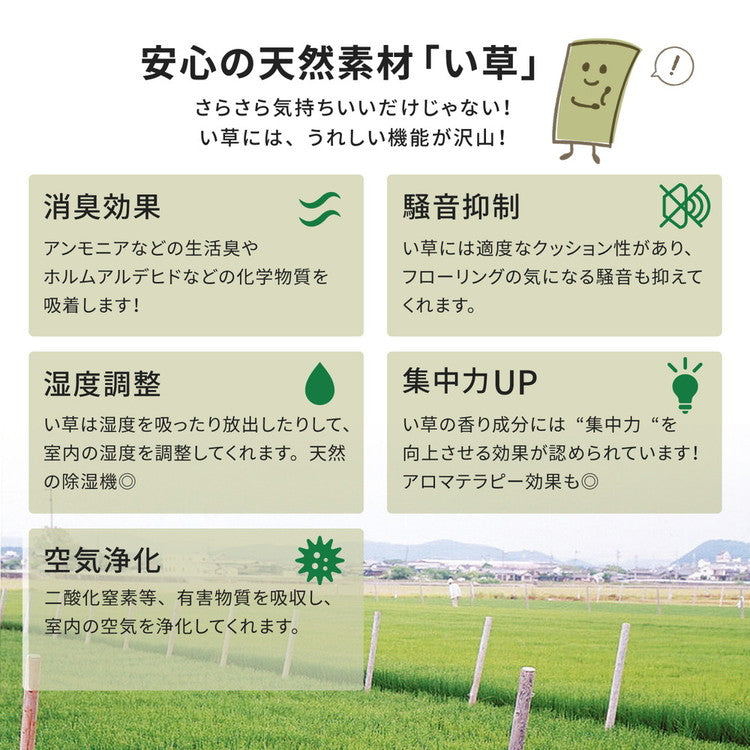 い草上敷き い草カーペット 柳川 やながわ 江戸間1畳 87×174cm 双目織り 和風 和室 無地 抗菌・防臭 萩原(代引不可)