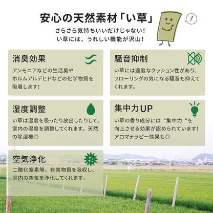 い草上敷き い草カーペット 柳川 やながわ 江戸間6畳 261×352cm 双目織り 和風 和室 無地 抗菌・防臭 萩原(代引不可)