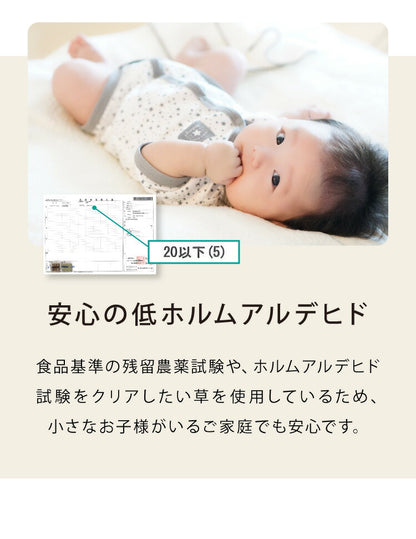 カラフル置き畳 同色9枚セット 置き畳 い草 畳 マット 82cm 半畳 軽量 滑り止め付 低ホルム 湿度調整 吸音 空気清浄 防音対策 カットOK 和室 シンプル DIY リビング 子ども部屋 薄畳 ユニット畳(代引不可)