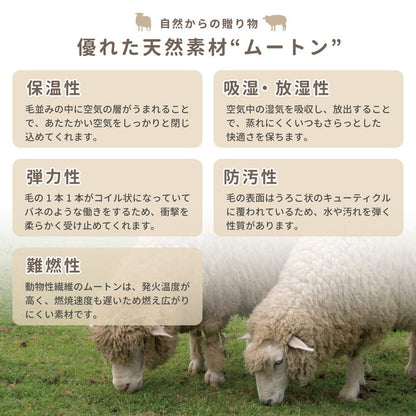 天然ムートン クッション ぬくぬくシートクッション ニュージーランド天然ムートン チェアパッド 羊毛 座布団 北欧 姫系 おしゃれ ムートンクッション ムートン座布団(代引不可)