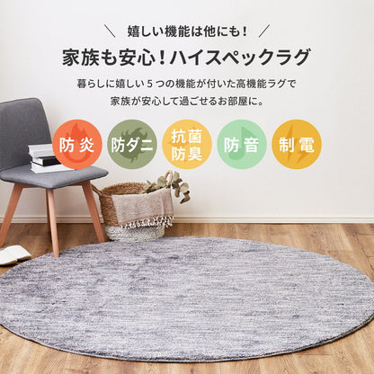 日本製 ナイロンラグ 190×240cm 防ダニ 抗菌防臭 防炎 制電 防音効果 ビビ 国産 ラグマット オールシーズン おしゃれ(代引不可)